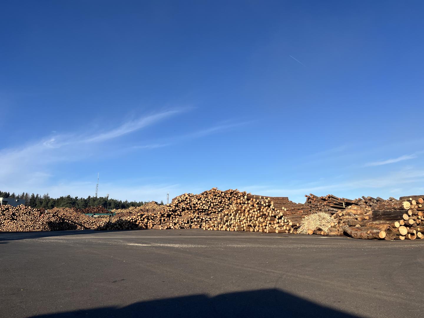Bois de charpente Clermont-Ferrand